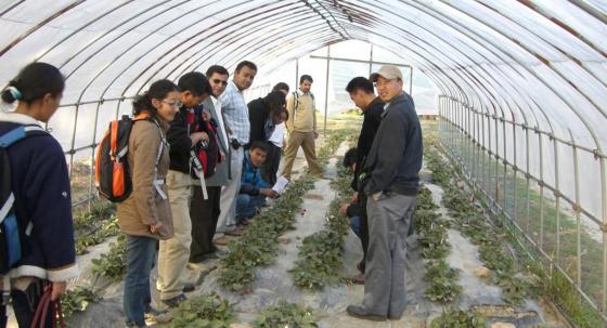 Participants of  a  SSWM course in Buthan visitng a greenhouse. Source: SEECON (2009)
